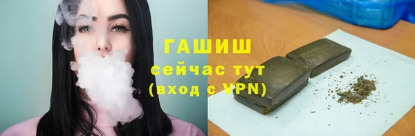 МДПВ Кадников